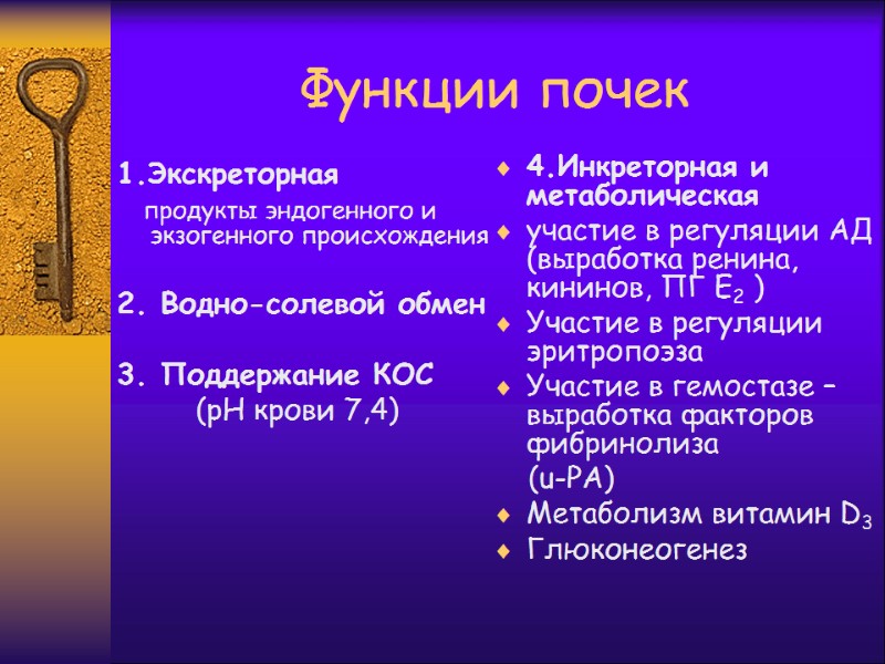 Функции почек 1.Экскреторная    продукты эндогенного и экзогенного происхождения  2. Водно-солевой